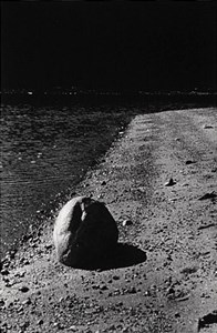 Image description is not available for 1994.010